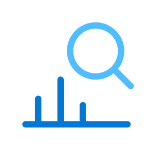 Audit system icon