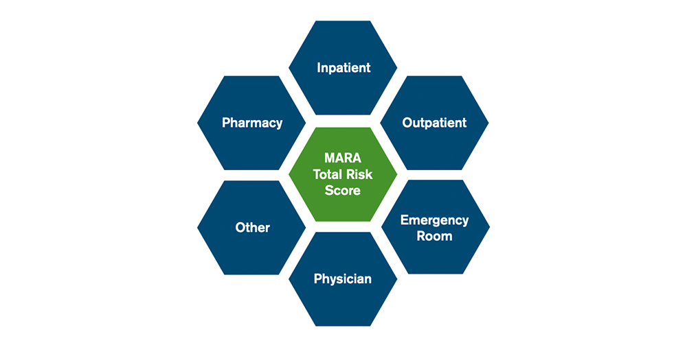 MARA Brochure