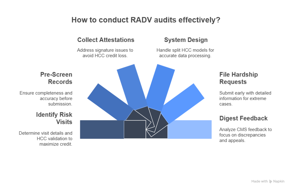 RADV audit graphic